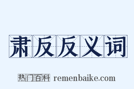 肃反反义词是什么意思的图片
